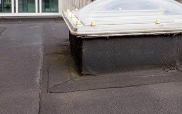 disadvantages of Timbrelham flat roofs
